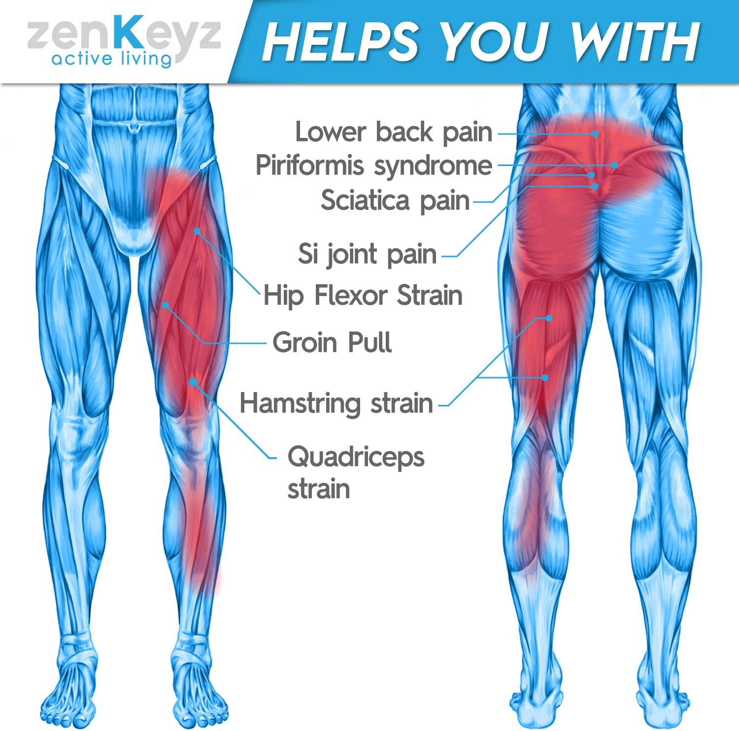 ZENKEYZ Groin Support and Hip Brace for Men & Women- Compression Wrap for Thigh Quad Hamstring Joints Sciatica Nerve Pain Relief Leg Strap (Non-Slip Design): Health & Personal Care