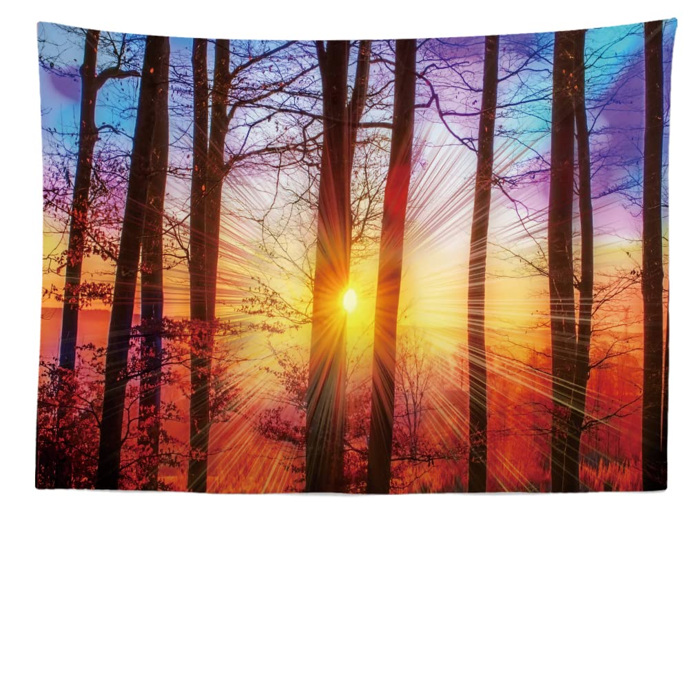 Ulticool - Appeso a Parete Home Decor - Trees Sunset Landscape - 200 x 150 cm Large - Wall Tapestry Carpet Murals - Decorative Tapestries for Bedroom Living Room