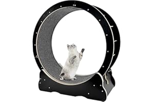WARMYOU Cat Exercise Wheel for Indoor Cats, Cat Running Wheel with TPE Silent Roller, Cat Treadmill Wheel, Cat Rotating Wheel Weight Loss Device with Replaceable Pads, 38x36x13.5(Black)