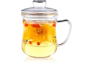 CNGLASS Glass Tea Cup with Removable Infuser and Lid,10.1oz Thickened Glass Tea Mug,Clear Filtrating Tea Maker for Loose Leaf