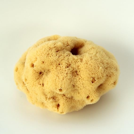 Eclat - Kit de 5 removedores de puntos negros para 10 cabezales de