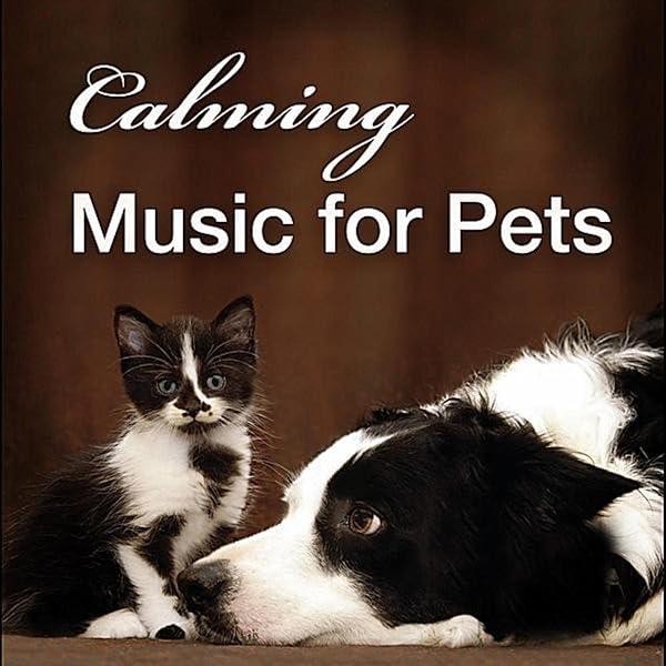 music to calm a dog down