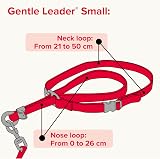 Beaphar Gentle Leader Head Collar for Small Dogs - Anti-Pull Training Aid - view 7