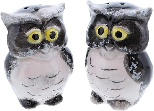 Amazon Com Ceramic Bird Salt And Pepper Shaker Collectors Kitchen