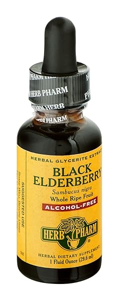 HERB PHARM ORGANIC BLACK ELDERBERRY GLYCERITE, 1 FZ/30 ML