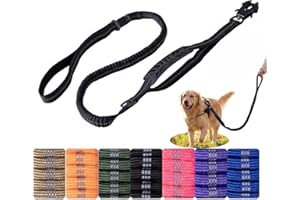 Tactical Bungee Dog Leash, Heavy Duty Tactical Dog Leash with Quick Release Carabiner and Highly Reflective Threads, 2 Handle