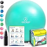 Exercise Ball - Professional Grade Anti-Burst Fitness, Balance Ball for Pilates, Yoga, Birthing, Stability Gym Workout Training and Physical Therapy