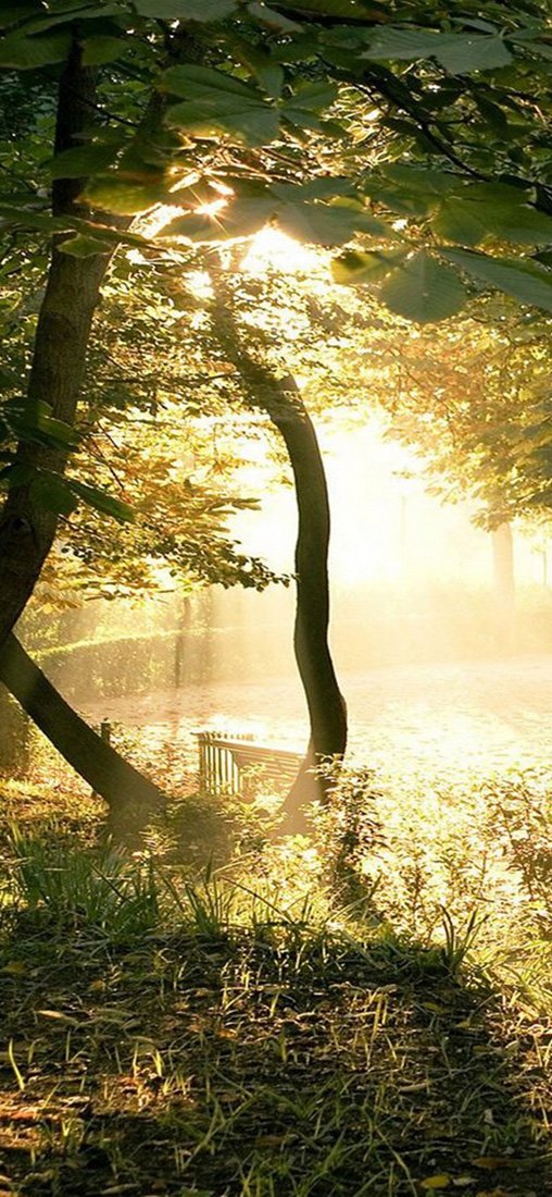 PeelitStickit, Beautiful Nature Wall Murals, ID-1465, vinyl