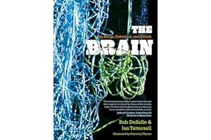 The Brain: Big Bangs, Behaviors, and Beliefs