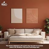 HQC Weather Shield Terracotta Masonry Paint 1L Storm Proof Scrub Resistance view 2
