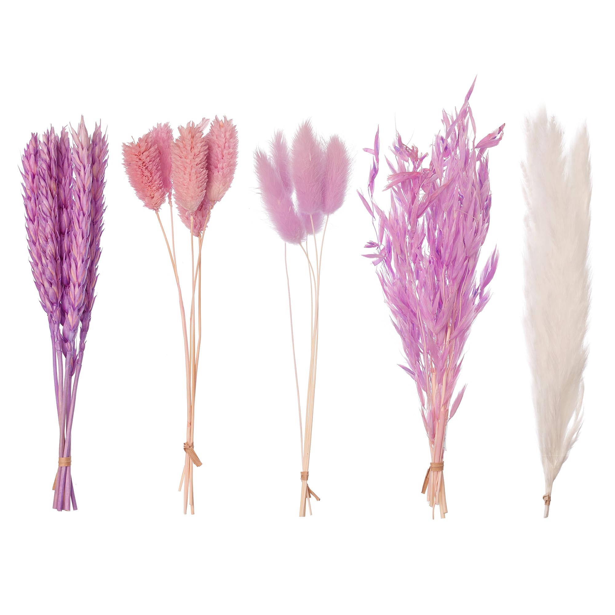 The Baked Studio – Original Dried Mixed Flower Cake Decoration Set | Pampas, Oats, Wheat, Lagurus Bunny Tails & Phalaris | Floral Cake Topper Arrangement for Cakes, Cupcakes & Craft Projects (Purple)