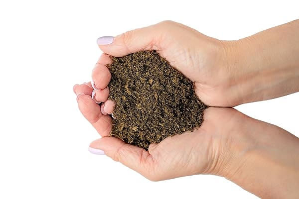 PREMIUM NATURAL SPHAGNUM PEAT MOSS – GARDENING SOIL AMENDMENT AND CARNIVOROUS PLANT SOIL MEDIA BY GARDENERA (3 QUART BAG)