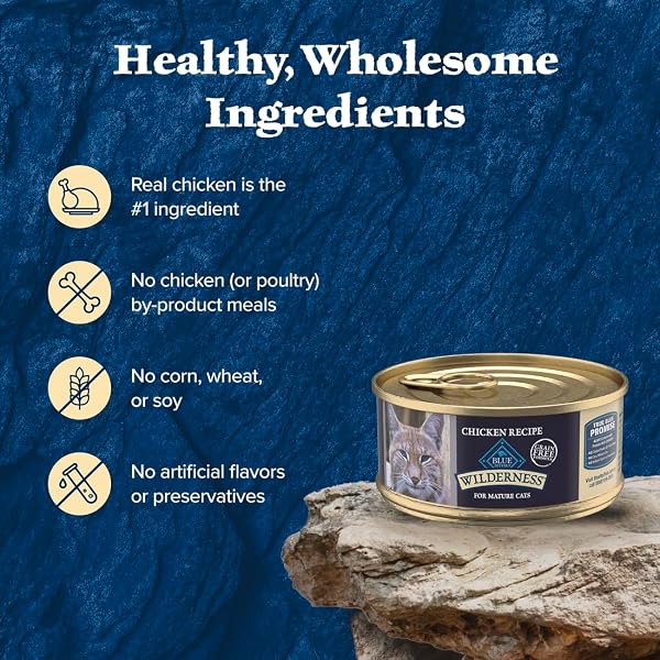 BLUE BUFFALO WILDERNESS ADULT CAT 7+ GRAIN FREE CHICKEN PATÉ WET CAT FOOD, SUPPORTS ENERGY FOR AN ACTIVE LIFE, MADE WITH NATURAL INGREDIENTS, 5.5-OZ. CANS (24 COUNT)