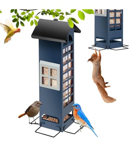 2 Mangeoires À Oiseaux En Forme De Cage À Oiseaux En Plein Air À