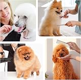 ZDXY Stainless Steel Pet Comb Detangling Tool for Dogs & Cats view 7