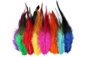 Daieeparty 120pcs Saddle Hackle Rooster Feathers 4-6 Inches Colorful Bulk Chicken Feather for DIY Crafts Earrings Dream Catcher Decor