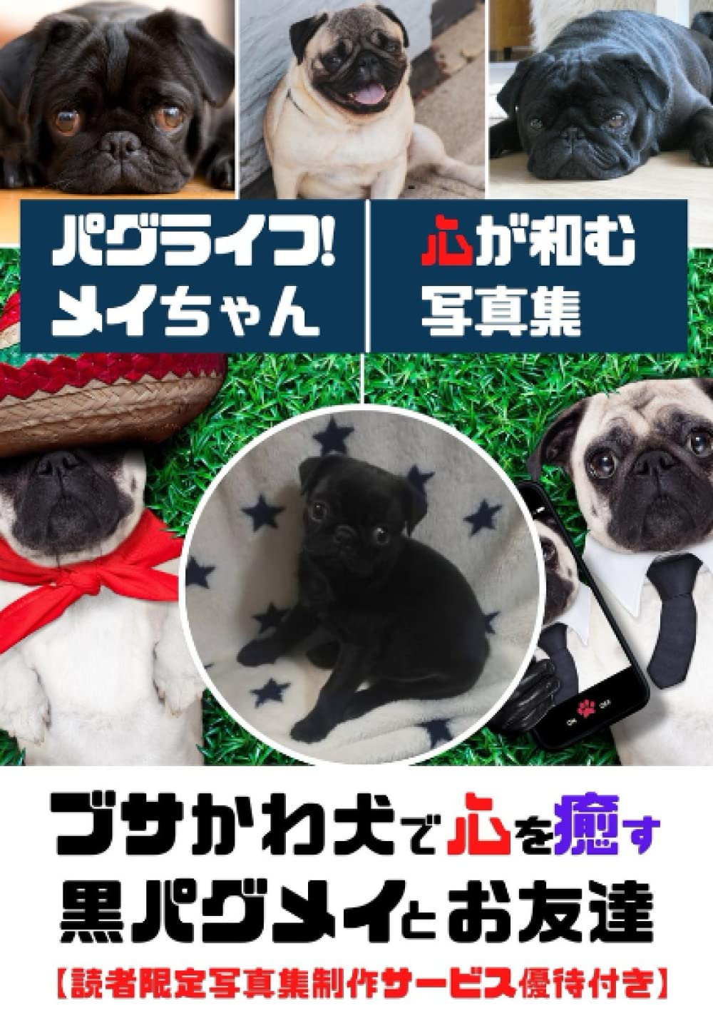 Amazon Co Jp パグライフ メイちゃん ブサかわ犬で心を癒す 黒パグメイとお友達 写真集 動物 ブサかわ Pug パグ好きクリエーター Daigo Japanese Books