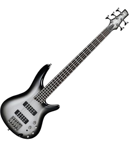 Amazon.com: Ibanez SR300E SR Standard - Iron Pewter : Musical