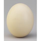 Ostrich Eggshell
