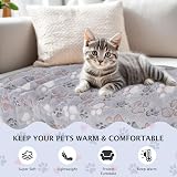 BVAGSS 6 Pack Small Dog Blanket 60x40 cm Paw Print Fleece Grey view 6