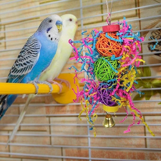 parrot pet shop