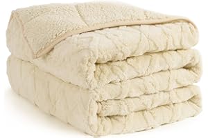 Topblan Weighted Blanket for Adults 20 lbs, Soft Cozy Warm Weighted Throw Blanket with Dual Sided Sherpa, Fuzzy Fluffy Adlut Heavy Blanket for Sleeping and Relaxing, Beige, 60 x 80 inches