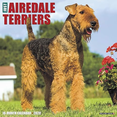 Download Just Airedale Terriers 2020 Calendar PDF