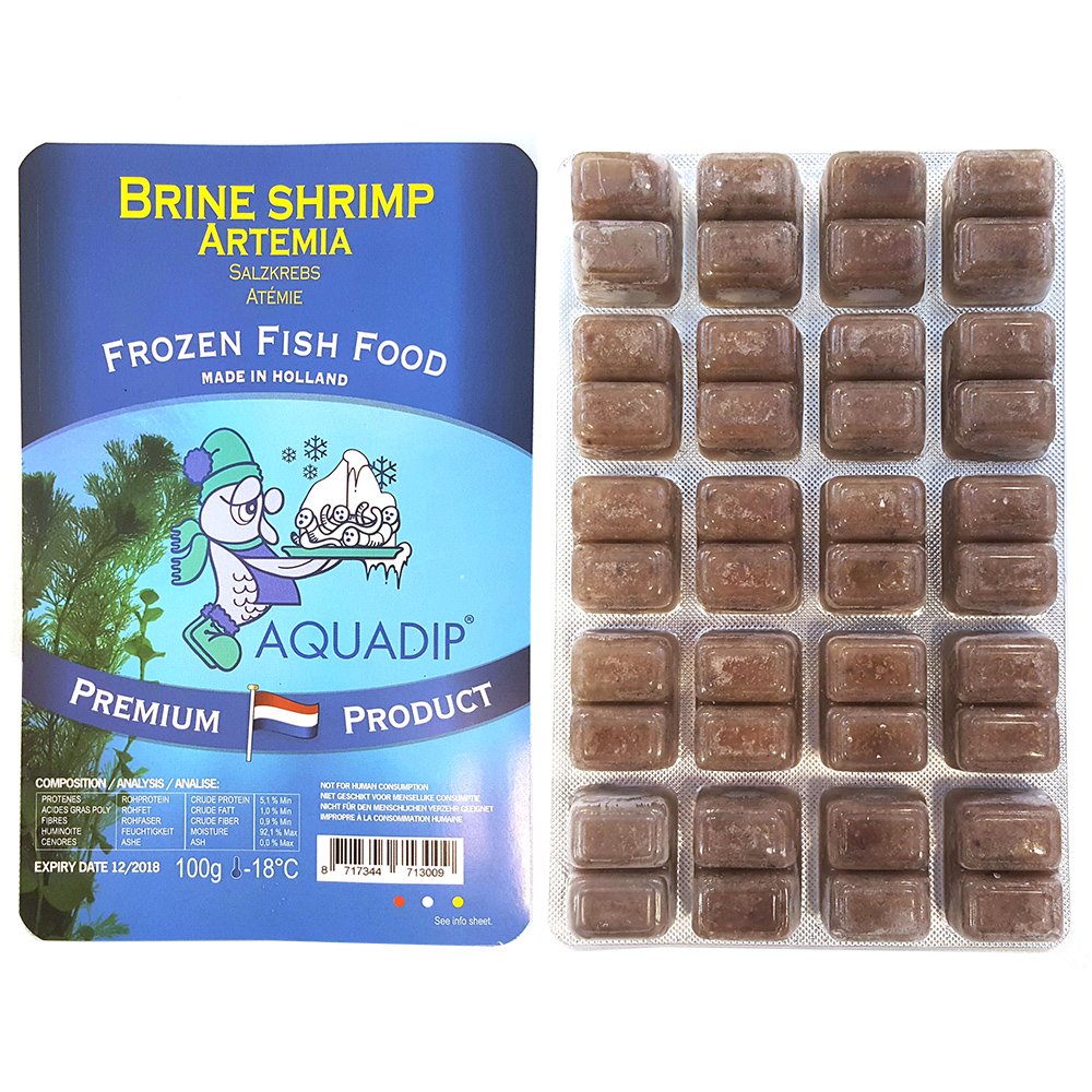 buy frozen fish food online