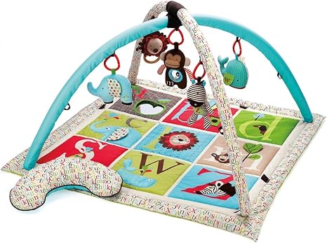 baby play mat skip hop