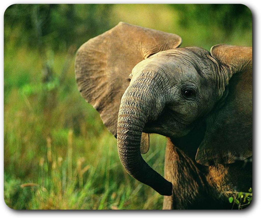 Baby Elephant Wild Animal Mouse Mat Pad Computer PC Laptop Gaming Office Home Desk Accessory Gadget 13014
