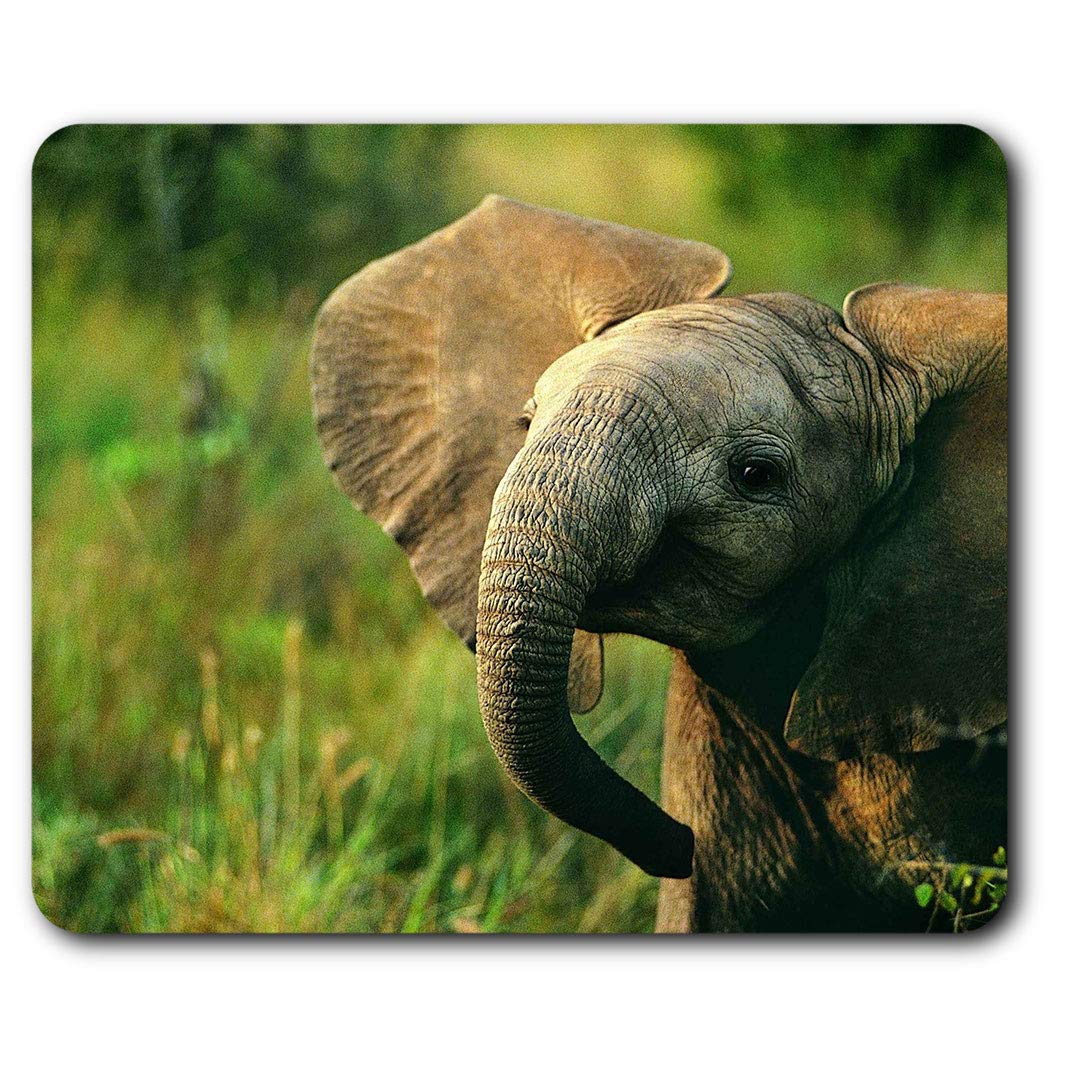Baby Elephant Wild Animal Mouse Mat Pad Computer PC Laptop Gaming Office Home Desk Accessory Gadget 13014