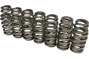 EYSENC LS Valve Springs PAC1219 Racing Valve Springs Compatible with GM LS Engine 4.8 5.3 5.7 6.0 6.2 (.625'' Lift Rated)