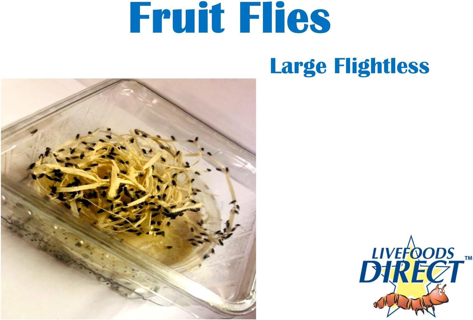 PHONE CABLE 5PACK NYLON Braided Durable Fast3/3/6-fsfdgrftytfgtew413