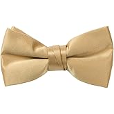 Spring Notion Boys' Pre-Tied Banded Satin Bow Tie