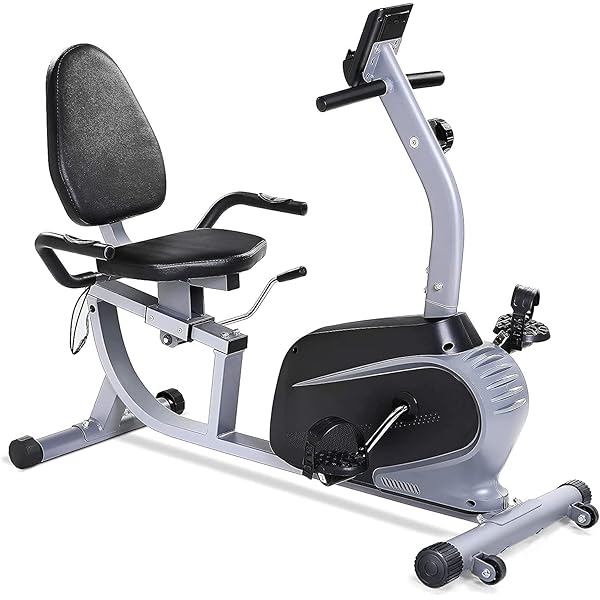 ポートハウスStamina Recumbent Exercise Bike for Home w Smart Workout App