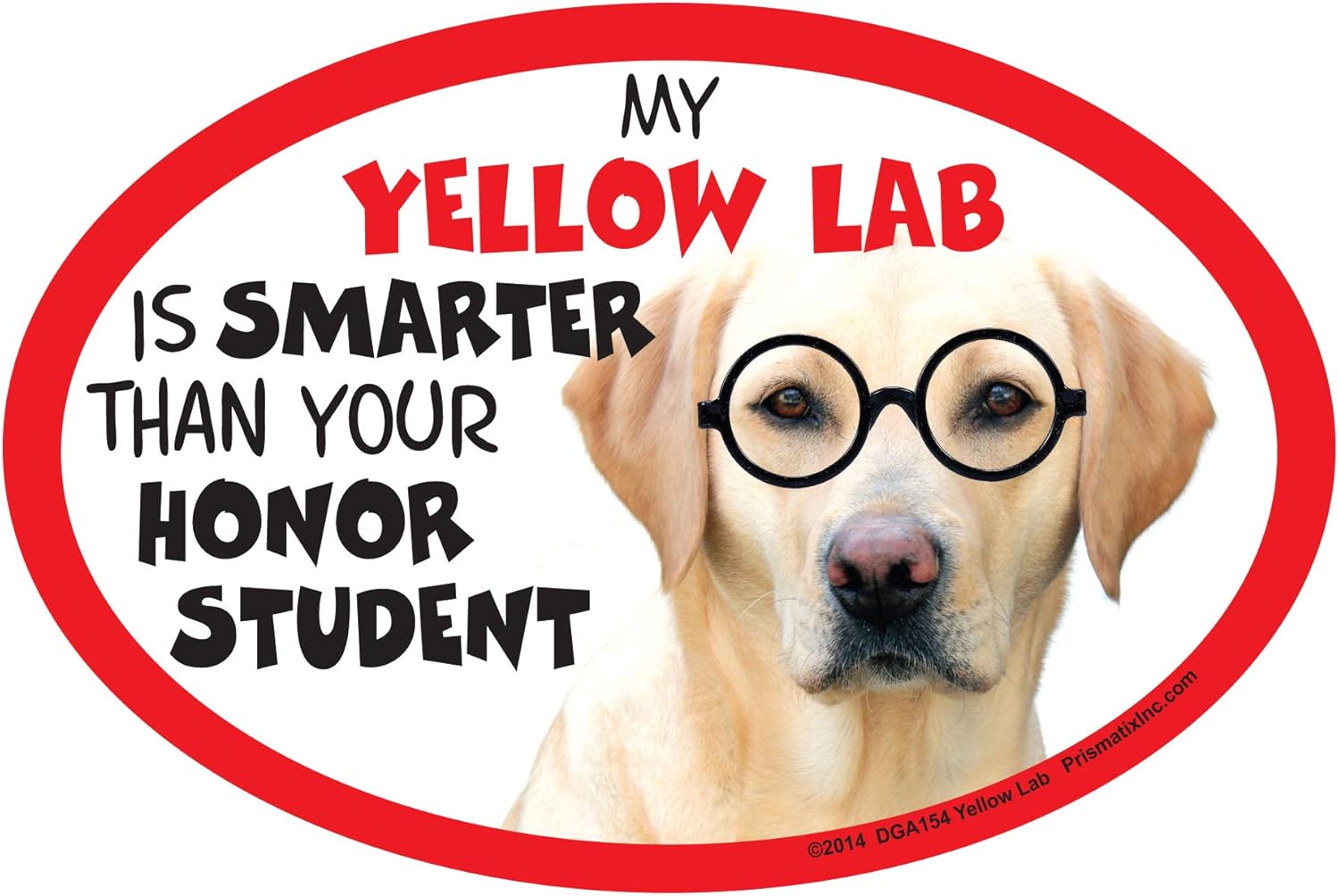 Which Is The Best Lab Signs Refrigerator