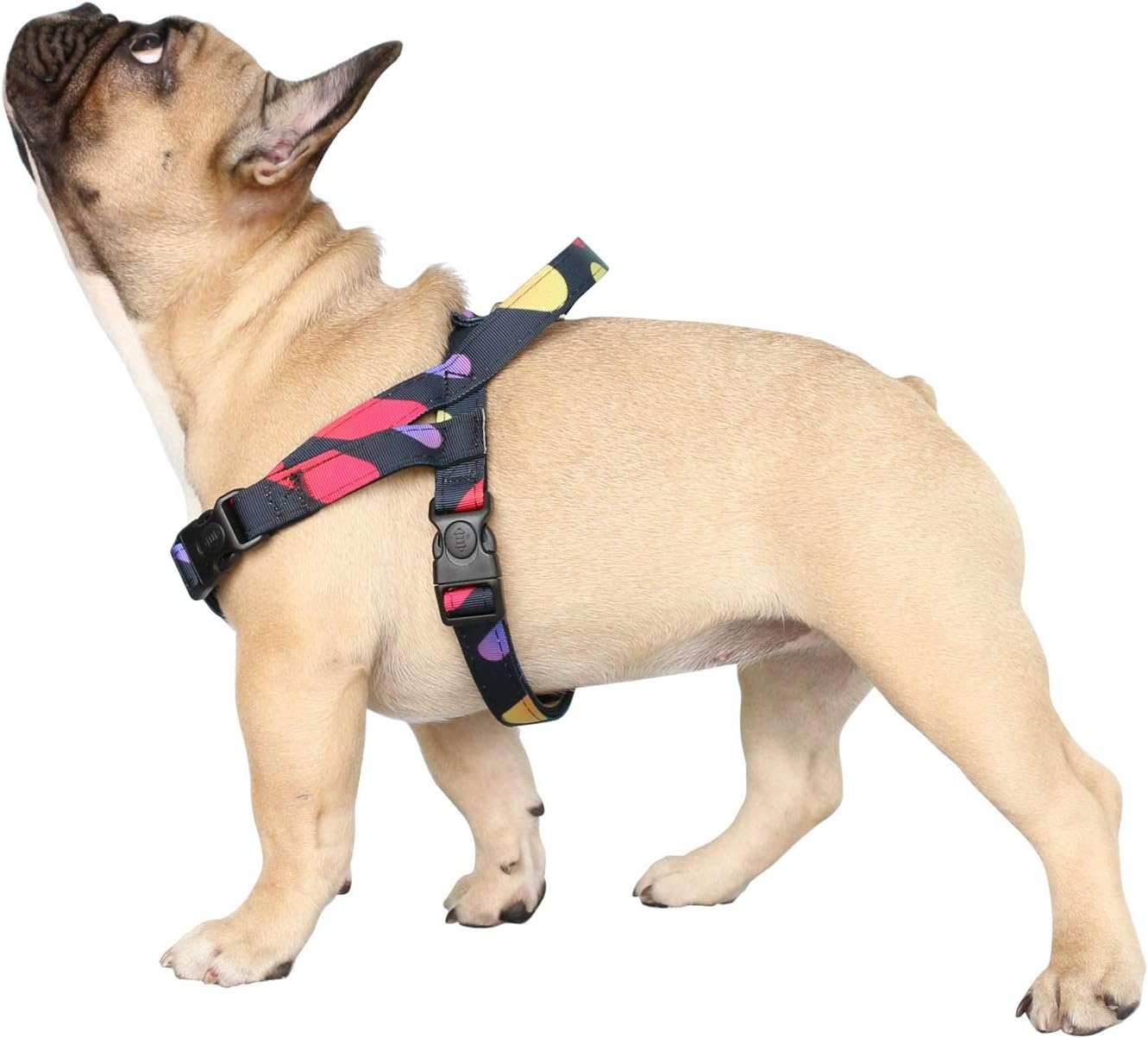 dog harness with handle for small dogs