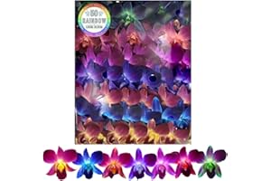 Miami Fresh Orchid Flower OrchidClub USA Sunne Tropical Loose Bloom Head DIY Lei food drink decoration (50 RAINBOW)