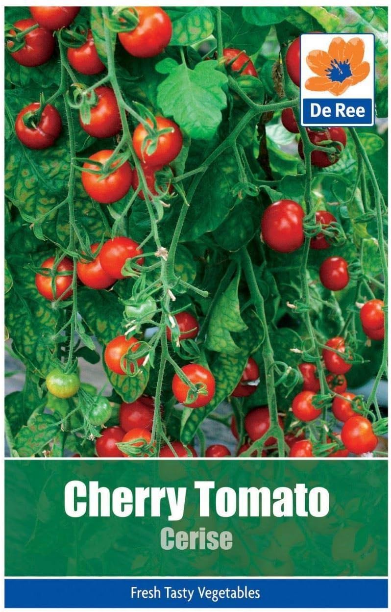 Portal Cool 2 paquetes de tomate cherry Cerise Semillas Huerto ...