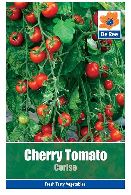 Portal Cool 2 paquetes de tomate cherry Cerise Semillas Huerto ...