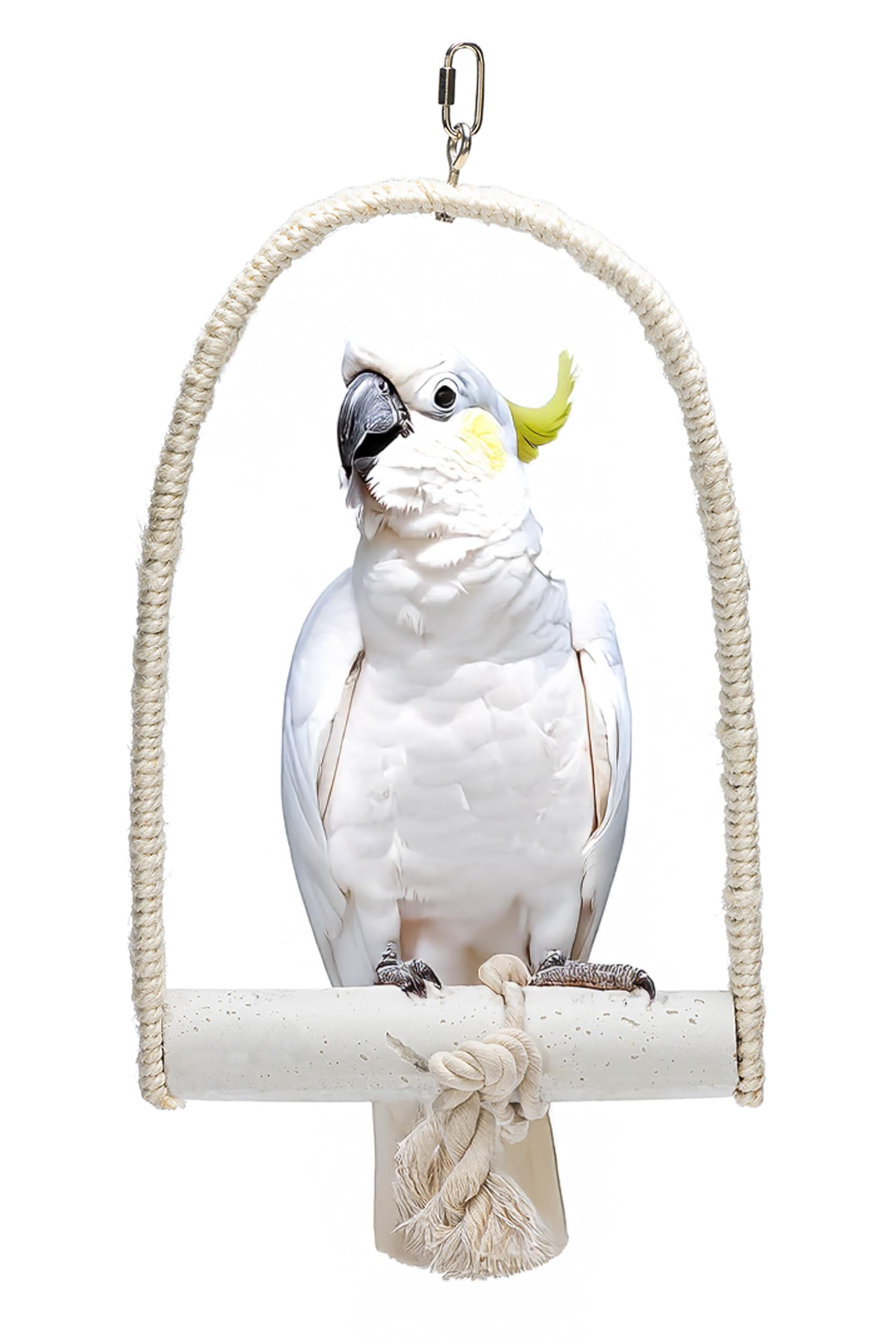 Karlie Bird Swing with Chalk Perch