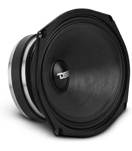 Amazon.com: DS18 69PRO300MB-8 6x9 Inch Mid Bass Speaker 150W RMS 8