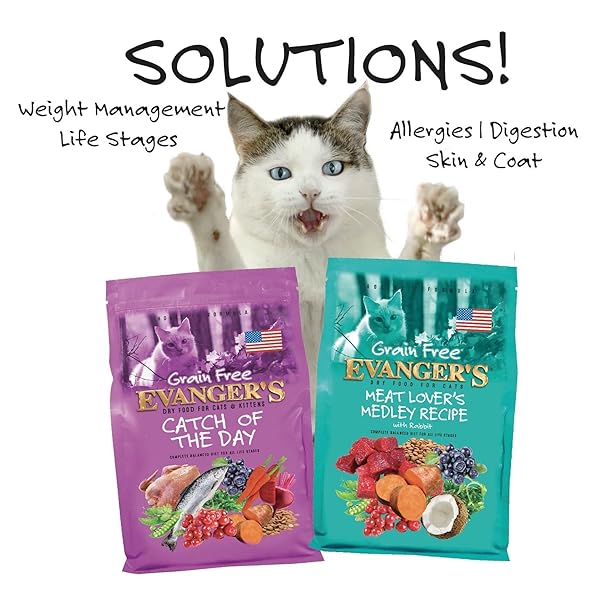 EVANGER’S GRAIN-FREE MEAT LOVER’S MEDLEY WITH RABBIT DRY CAT FOOD – 4.4 LB – BUFFALO, PORK & RABBIT PROTEINS – GRAIN & GLUTEN FREE – RICH IN OMEGAS & PROBIOTICS