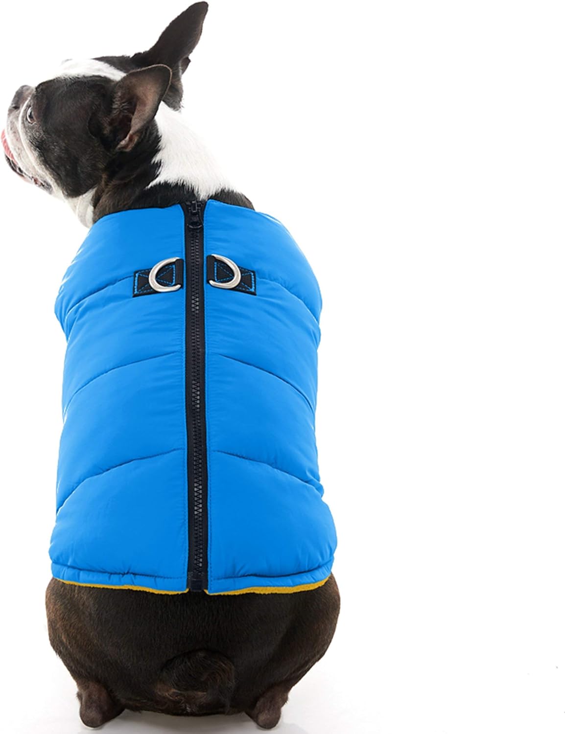 Gooby - Padded Vest Solid Blue Dog Jacket Coat Jumper with Zipper and Linen Ring Solid Blue Size XL, X-Large chest (23") - Image 4