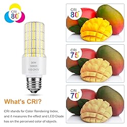 2 Pack Led Light Bulb Equivalent 250w Led bulbs