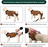 Kuoser Dog Surgery Recovery Suit Adjustable Post Surgery Body Suit Brown XL view 4