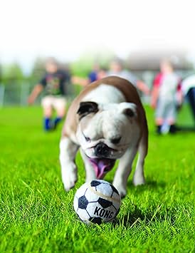 Kong Sport Balls Dog Toy Assorted, Large (2 Pack)