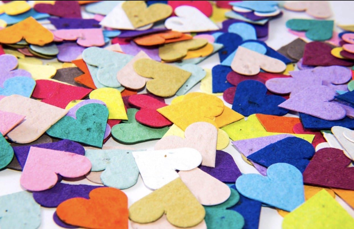 Flower Seed Paper Heart Party Decoration Confetti