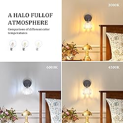 Shenmoyl Vintage Wall Sconce with Transparent Tulip