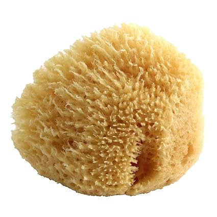 Poupy 246.6 - Natürlicher Meeresschwamm